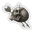 Arrow Skull